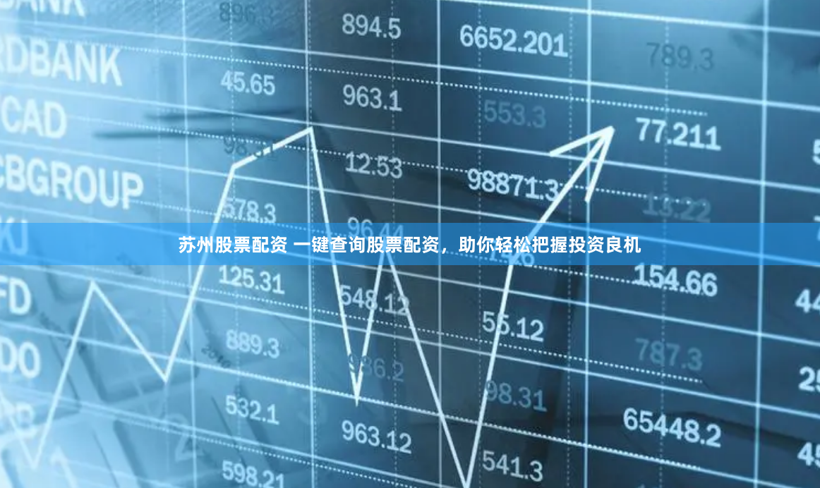 苏州股票配资 一键查询股票配资，助你轻松把握投资良机