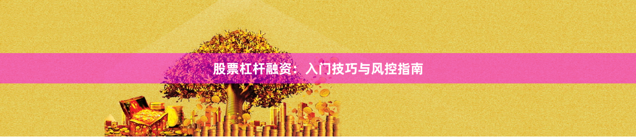 股票杠杆融资：入门技巧与风控指南